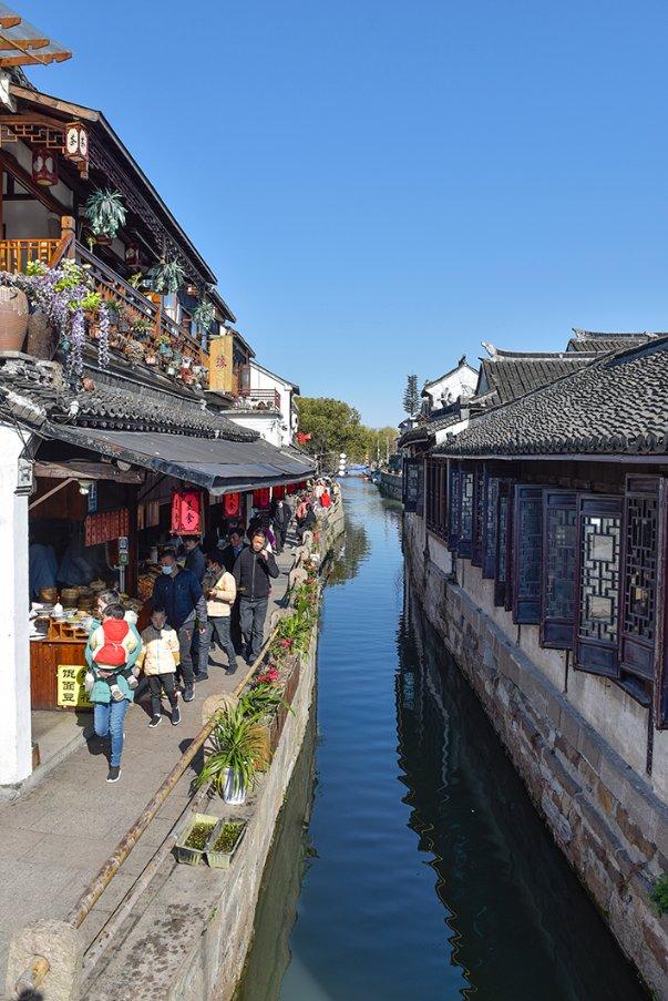诺斯贝乳铁蛋白焕新升级，双核五驱开启金牌防护盾！